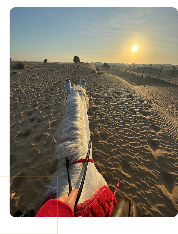 M11 Equestrian Club
