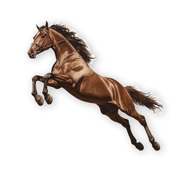 M11 Equestrian Club logo