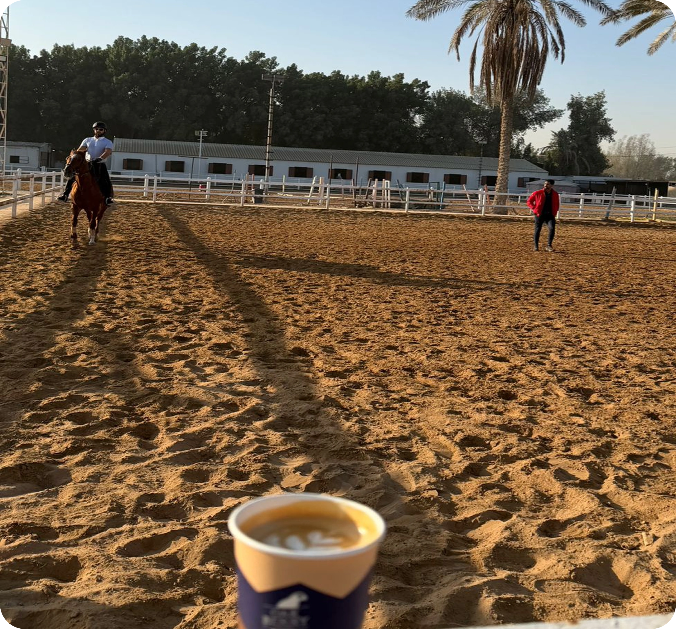 Horse Stable in Dubai