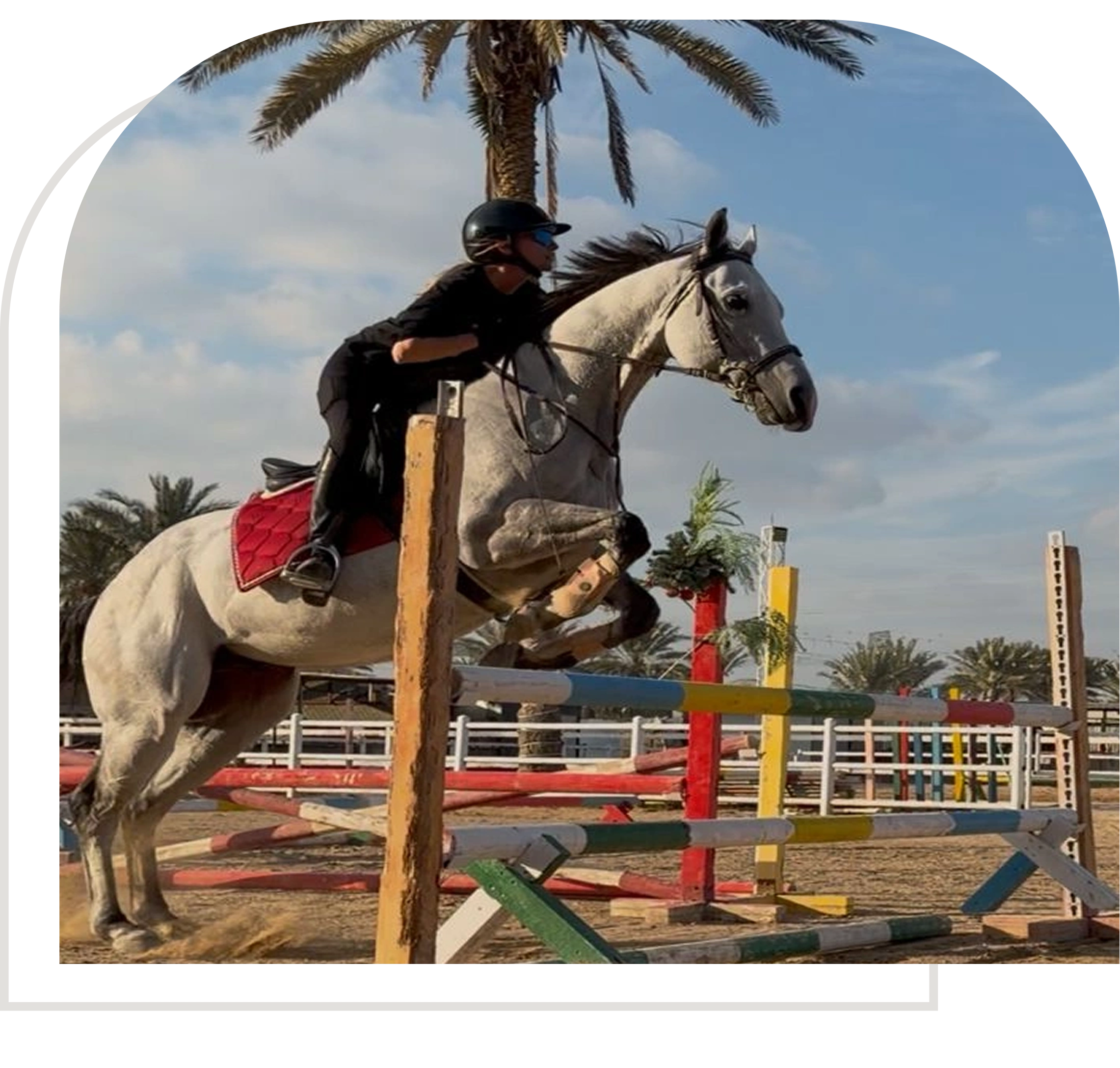 show-jumping-3407794c-c8b4-4dfa-a283-d2b5c4e027eb