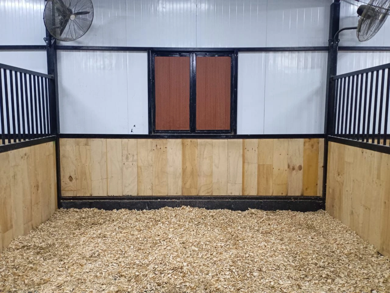 Horse Training