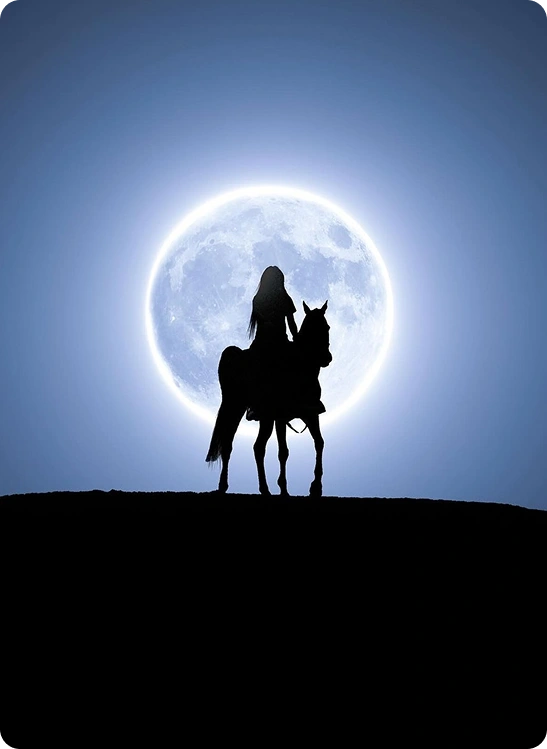 M11 Equestrian Club