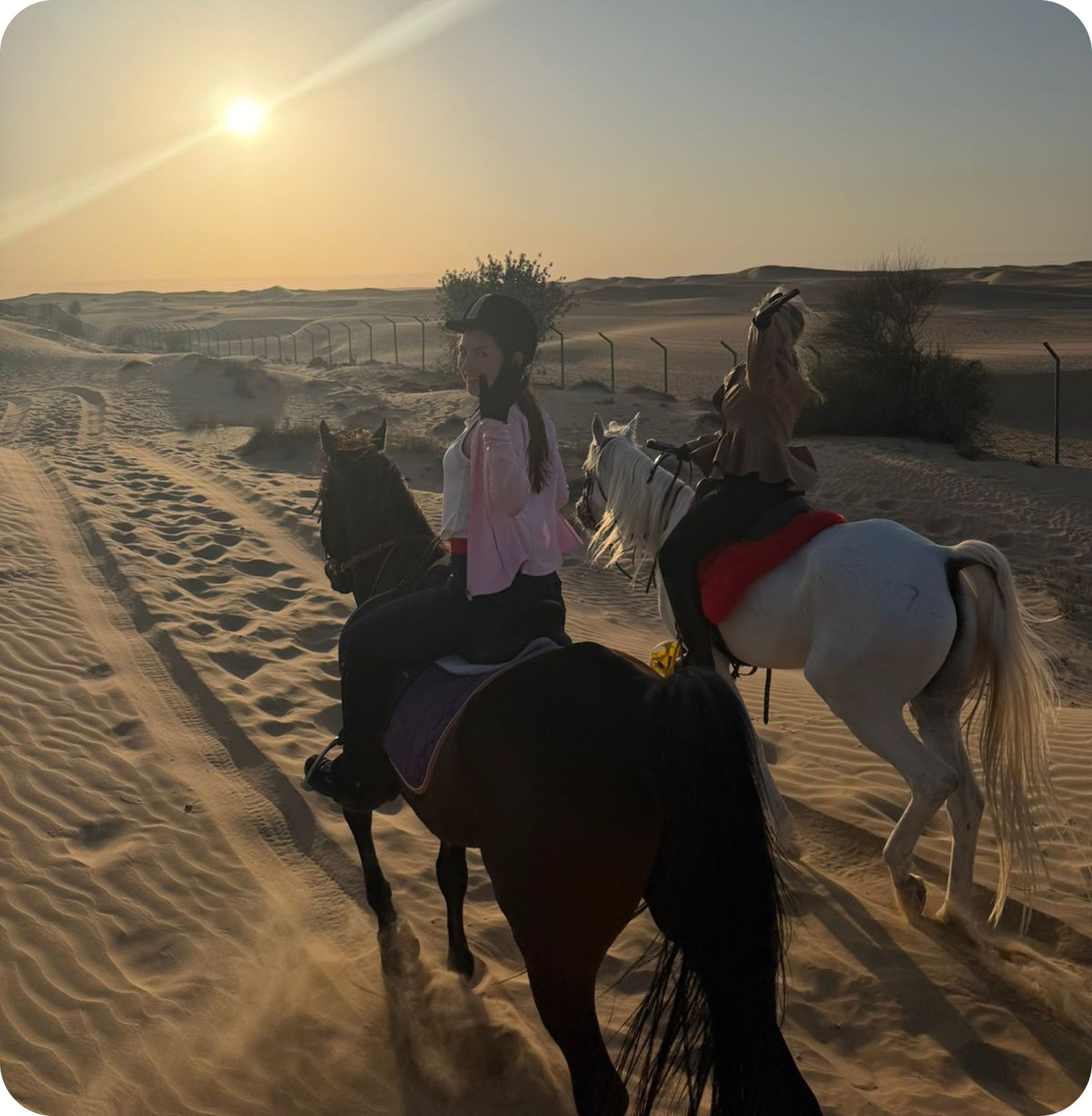 Desert Rides