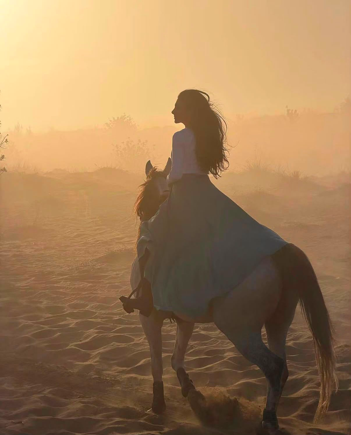 Horse Training